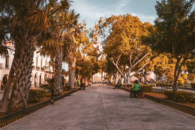 Living in Merida: quality of life in Yucatan